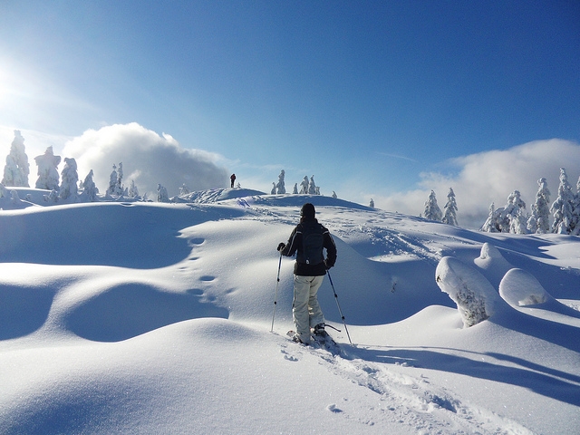 Paseando por la blanca nieve